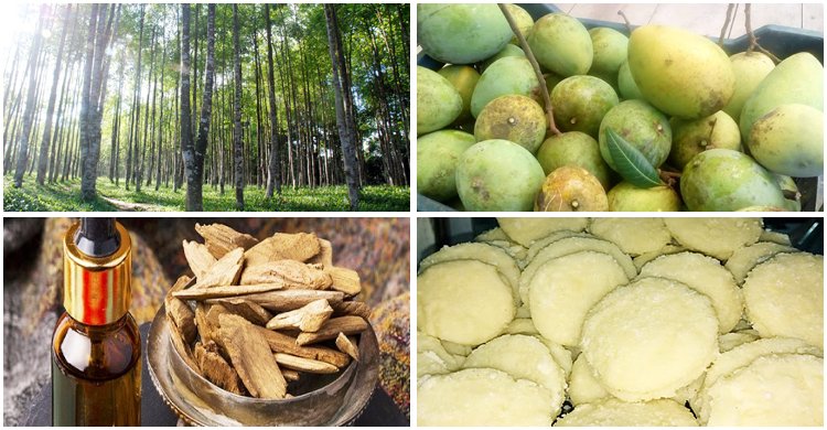 জিআই পেল আরও ৪ পণ্য