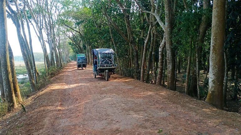 সড়ক সংস্কারে ধীরগতি, দুর্ভোগে পর্যটকরা