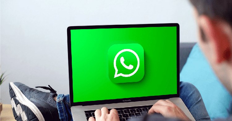 ছবিকে স্টিকারে  রুপ দেবে হোয়াটসঅ্যাপ