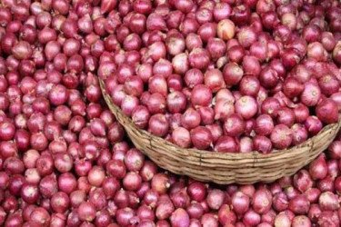 বাংলাদেশে ৫০ হাজার টন পেঁয়াজ রপ্তানির অনুমতি দিল ভারত