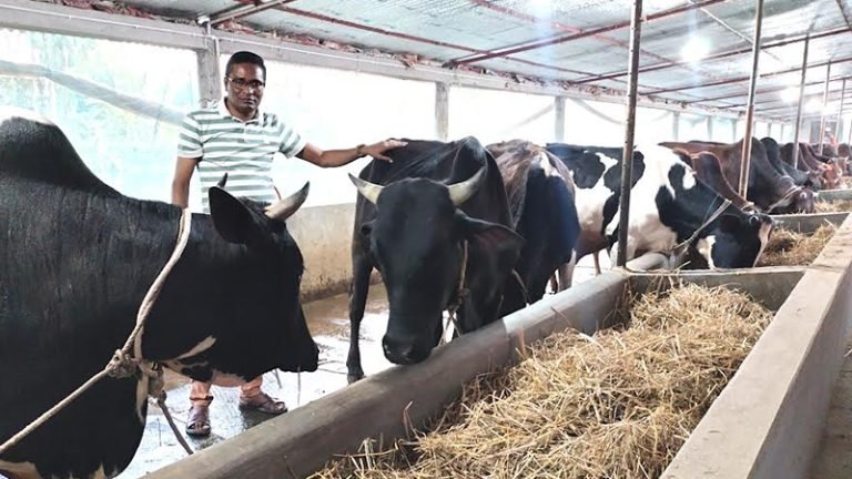 ভোলায় কাউন্সিলর থেকে উদ্যোক্তা মনিরুজ্জামান