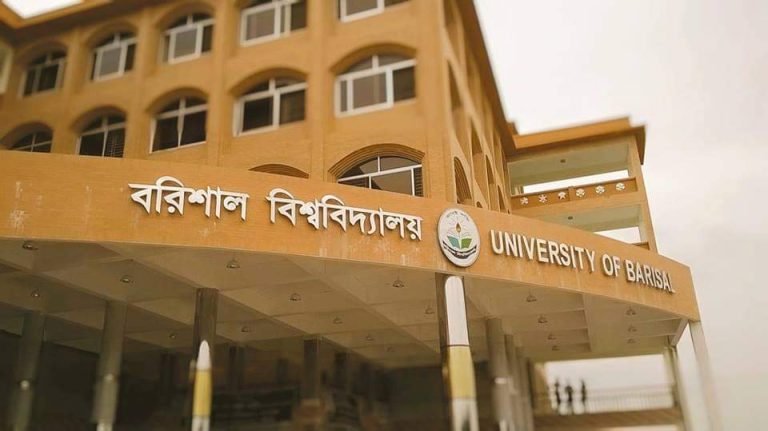 সন্ত্রাসী পথে ববি’র অর্ধশত শিক্ষার্থী, আতঙ্কে নিরীহ শিক্ষার্থীরা