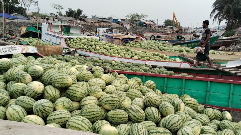 তরমুজে সয়লাব বরিশালের বাজার