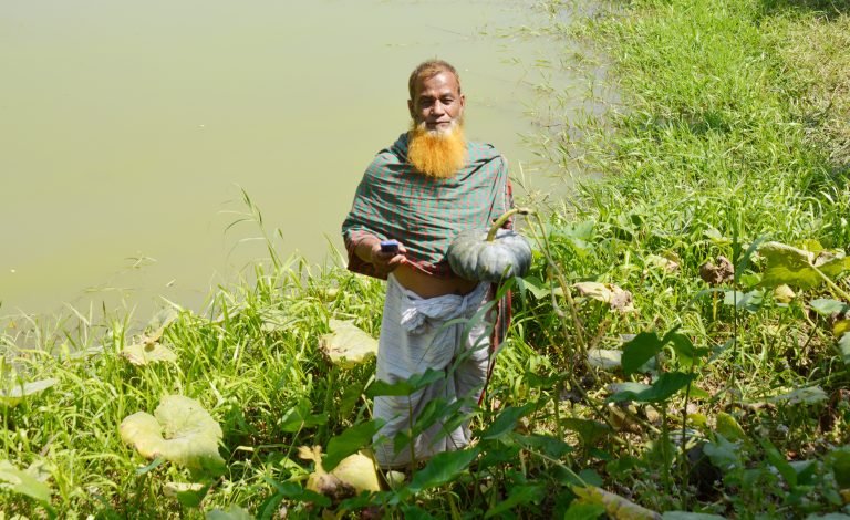 বরিশালে লাখ টাকার ফসল লুটপাটের অভিযোগ