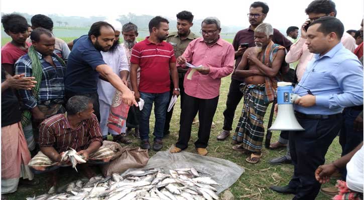 জাটকা পরিবহন করায় মুলাদীতে ১৫ জনকে জরিমানা