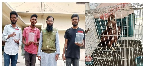 বরিশালে দালানের ছাদ থেকে কালনাগিনী উদ্ধার