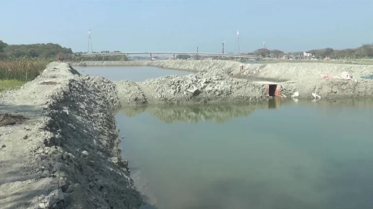 ভোলায় নদী দখল করে মাছের ঘের