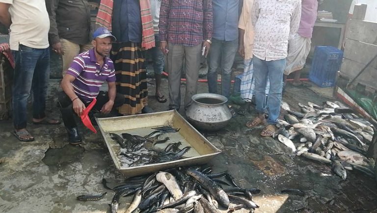 বরিশালে জমে উঠেছে দেশি মাছের বাজার
