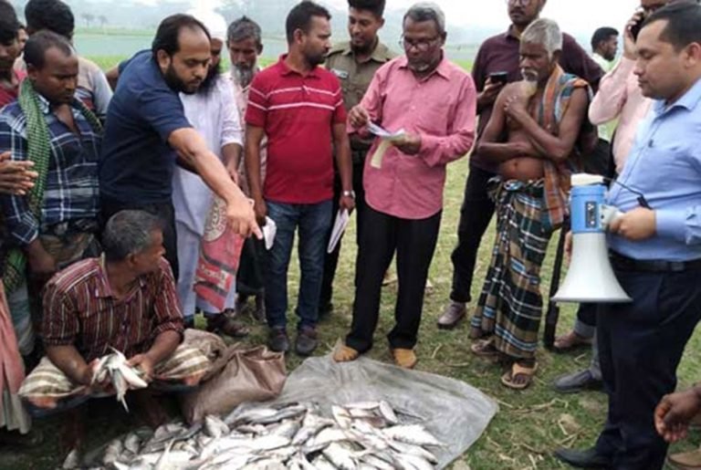 বরিশালে জাটকা পরিবহন করায় ১৫ জনকে জরিমানা