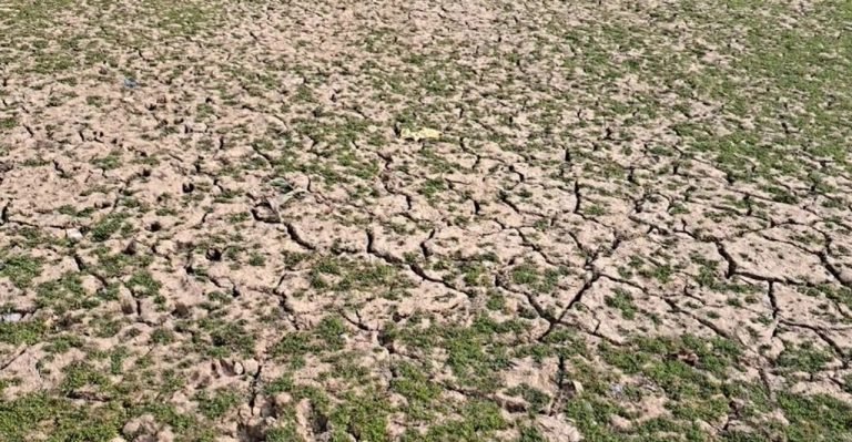 তীব্র তাপদহে বিপর্যস্ত উপকূলের জনজীবন
