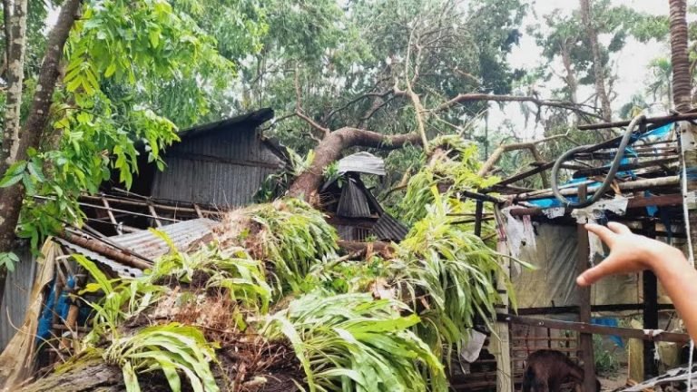 ঝালকাঠিতে বজ্রপাতে ৩ জনের মৃত্যু