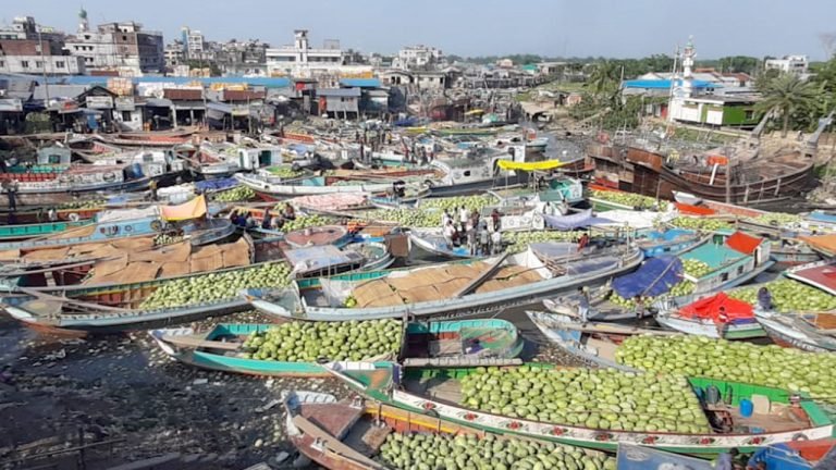 সংরক্ষণের অভাবে পচে যায় দক্ষিণাঞ্চলে কয়েক শ কোটি টাকার তরমুজ