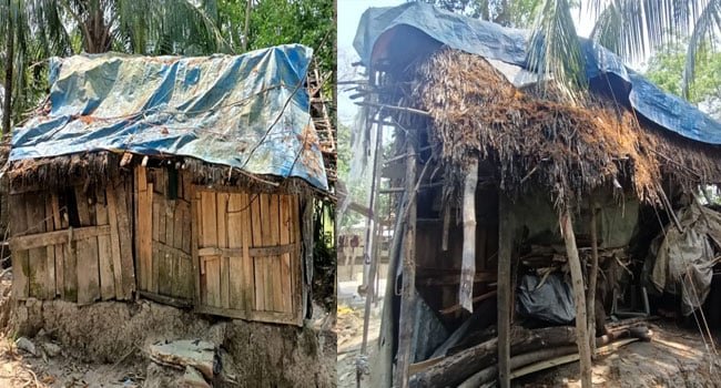 পটুয়াখালীতে পচা নাড়ার ঘরে বসবাস বৃদ্ধা আয়েশা বিবির