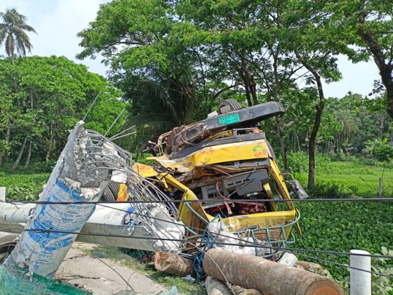 নিয়ন্ত্রণ হারিয়ে বৈদ্যুতিক খুঁটিতে ট্রাকের ধাক্কা, ব্যবসায়ী নিহত
