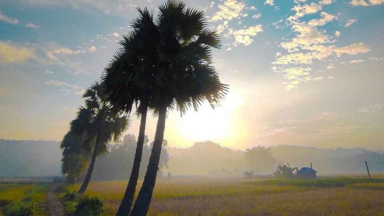 ৫৪ জেলায় বইছে দাবদাহ হাঁসফাঁস জনজীবন