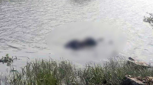 দুমকিতে অচেনা যুবকের অর্ধগলিত মরদেহ উদ্ধার