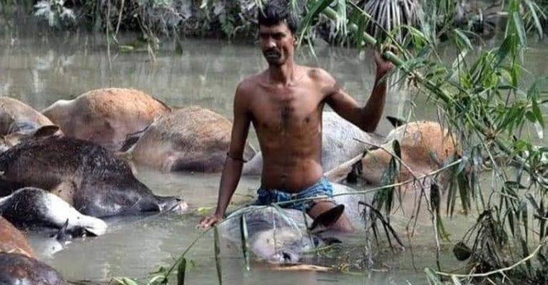 ২৯ এপ্রিলের ভয়াল সেই স্মৃতি আজও ভুলতে পারেনি উপকূলবাসী