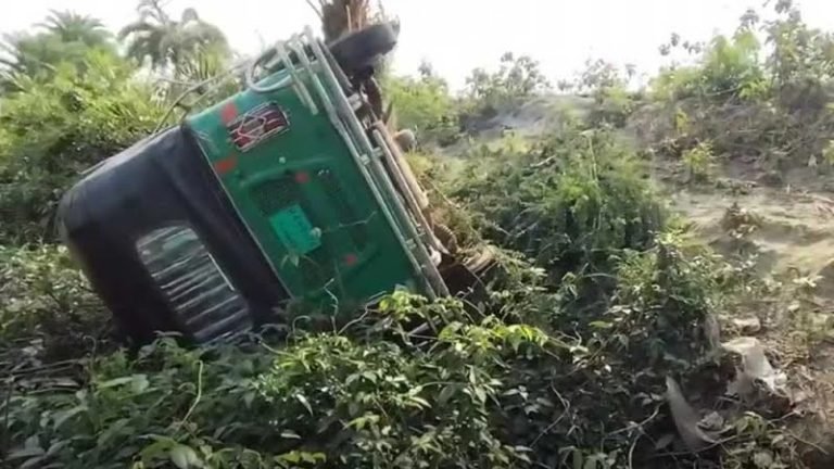 নিয়ন্ত্রণ হারিয়ে সিএনজি খাদে, নিহত ২