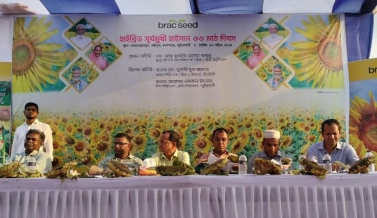 লবনাক্ত জমিতে কোলেস্টেরল মুক্ত তৈলের হাতছানি দিচ্ছে হাইব্রিড সূর্যমুখী