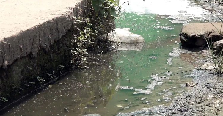 বরিশালে সন্ধ্যা হলে মশা যেভাবে ঘিরে ধরে, মনে হয় উড়িয়ে নিয়ে যাবে