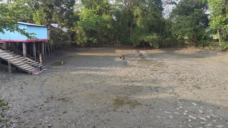 তাপদাহে অসহনীয় পটুয়াখালীর জনজীবন