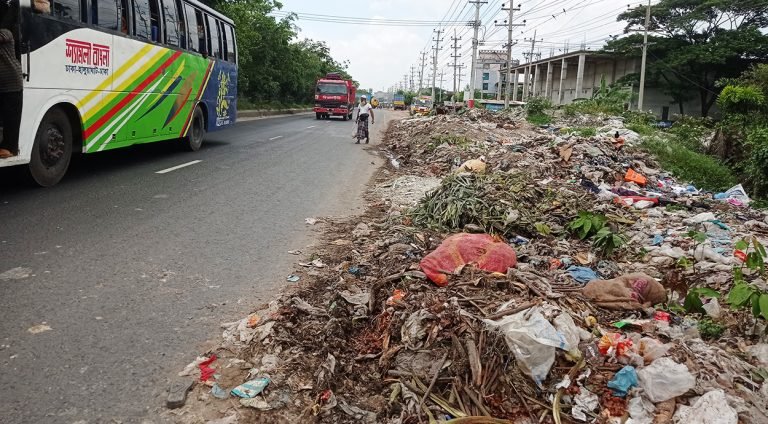 চরফ্যাশনে সড়কের পাশে ময়লার ভাগাড়, দুর্ভোগে জনসাধারণ