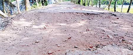 কলাপাড়ায় ৮৮ কিলোমিটার পাকা সড়কের বেহাল দশা কলাপাড়া