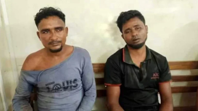 গলাচিপা উপজেলায় গরু চুরির হিড়িক পড়েছে