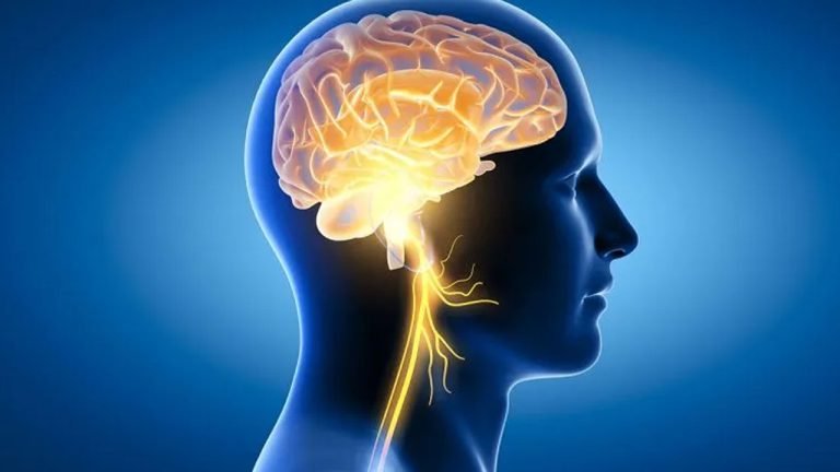 স্মৃতিশক্তি বাড়ায় ও ডিমেনশিয়ার ঝুঁকি কমায় ব্যায়াম