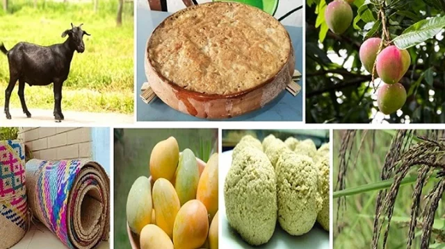 সম্ভাব্য ১৫১ জিআই পণ্যের তালিকা প্রস্তুত