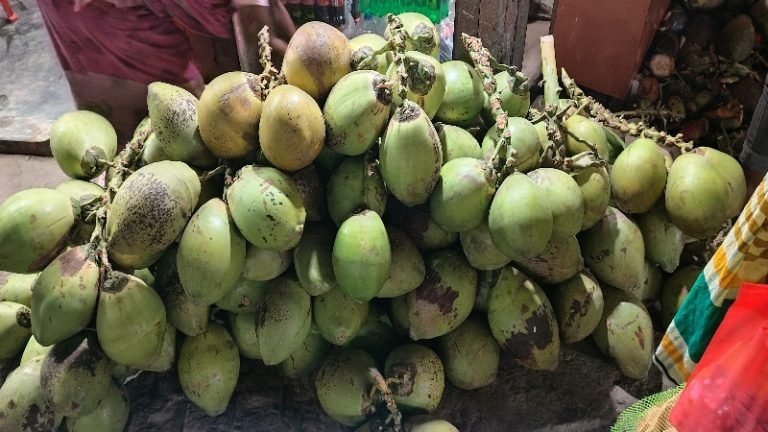 তীব্র দাবদাহ এক ডাবের দাম ১২০ টাকা!