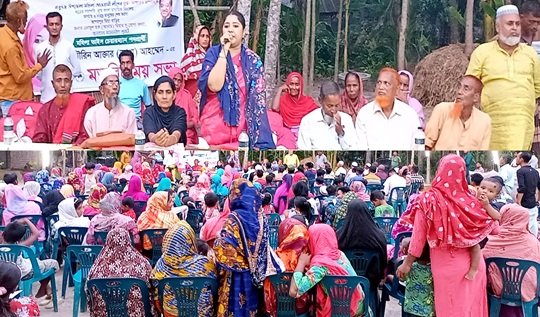 বরিশালে মাঠ দাপিয়ে বেড়াচ্ছেন তিন উপজেলার ২৯ প্রার্থী