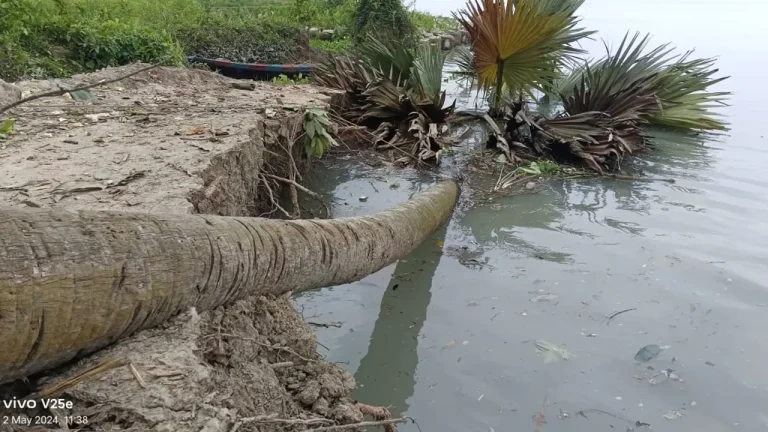 ঝালকাঠির বিষখালী নদীতে হঠাৎ তীব্র ভাঙন