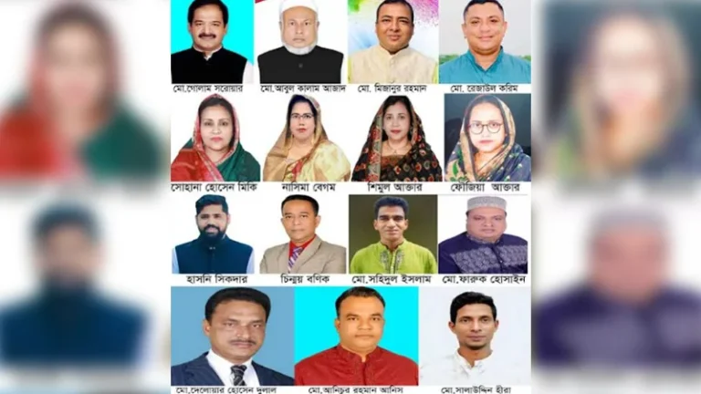 জমে উঠেছে পটুয়াখালীর উপজেলা পরিষদ নির্বাচন