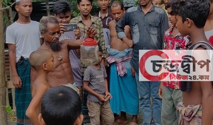 পটুয়াখালীতে কৃষকের জালে আটকা পড়লো রাসেলস ভাইপার