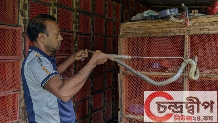 পটুয়াখালীতে সাপের খামার করে বিপাকে রাজ্জাক