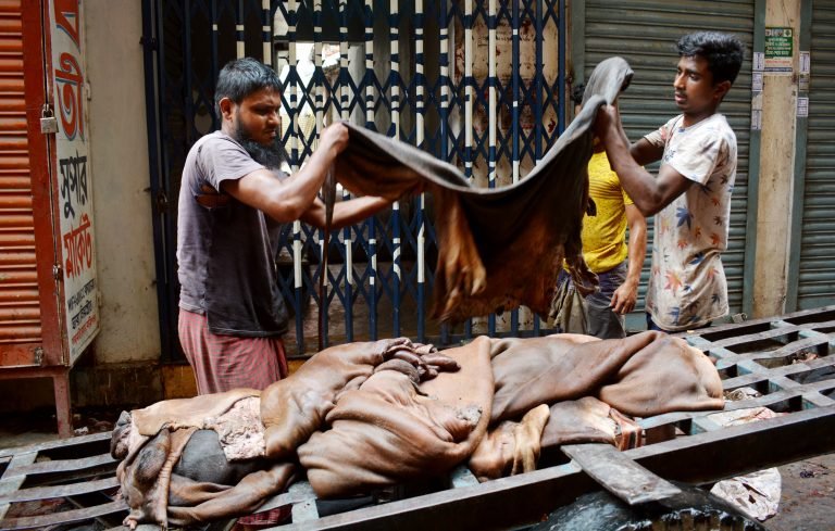 বরিশালে বাকিতে চামড়া কিনছেন ব্যবসায়ীরা