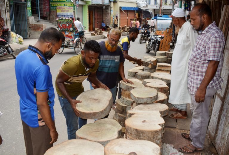 বরিশালে তেঁতুল গাছের গুঁড়ি বিক্রির ধুম,বেড়েছে হোগলের দাম