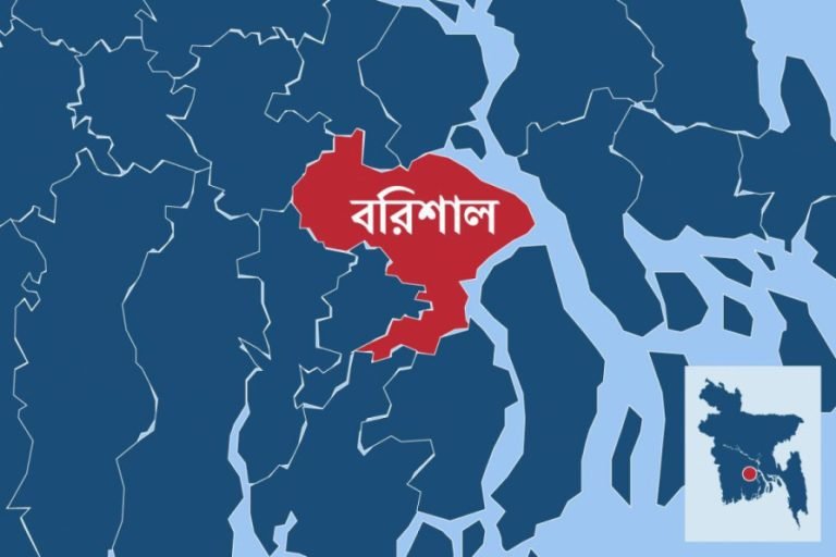 বাবুগঞ্জে ধর্ষিতা স্কুল ছাত্রী জন্ম দিয়েছে ফুটফুটে ছেলে