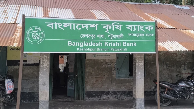 ভূতুড়ে কৃষি ঋণের ফাঁদে পটুয়াখালীর মৃতরা