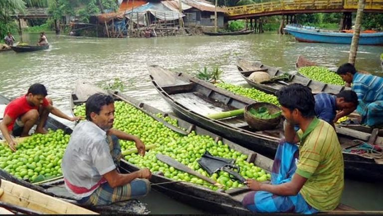 ঝালকাঠিতে জমে উঠেছে লেবুর ভাসমান হাট