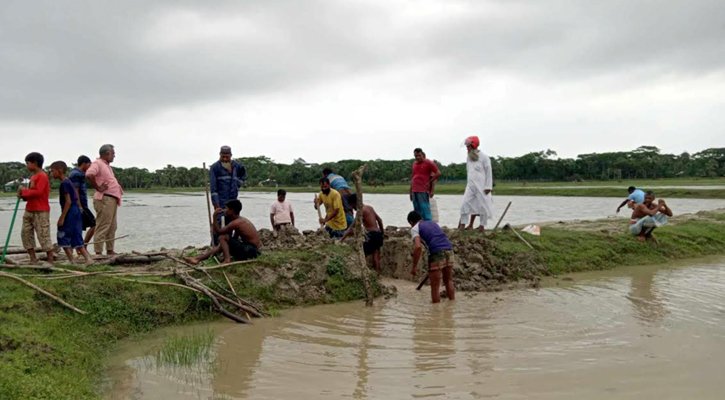 ঘেরের বাঁধ কেটে ৬০ লাখ টাকার মাছ ভাসিয়ে দেওয়ার অভিযোগ