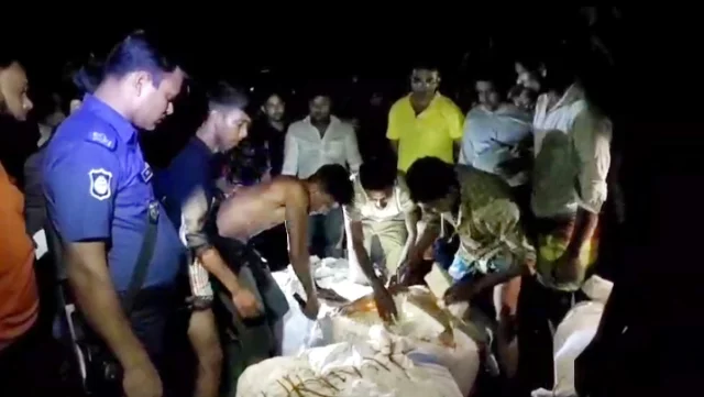 পটুয়াখালীতে ৩ যাত্রীবাহী বাস থেকে ২৬ মণ সামুদ্রিক মাছ জব্দ, জরিমানা