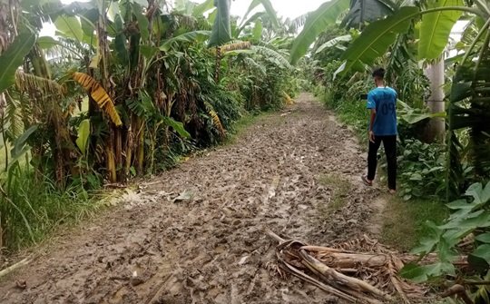 বাবুগঞ্জে একটি কর্দামক্ত রাস্তায় হাজারো মানুষের ভোগান্তি!