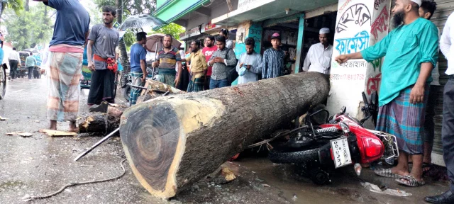দশমিনায় ট্রলি ও অটোরিকশার সংঘর্ষে আহত ৪