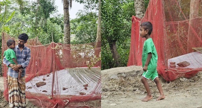 বরগুনায় কবরের মাটি খুঁড়ে মাকে বের করার চেষ্টা আড়াই বছরের শিশুর!