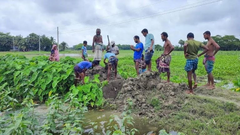 খালের বাঁধ কাটলো প্রশাসন – চাষযোগ্য হলো ৭০০ একর জমি