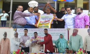 দুমকী উপজেলা ও পবিপ্রবি পঁচিশে পদার্পণে নানা আয়োজন