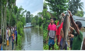 দুমকীতে দখলদারের কবল থেকে খাল উদ্ধার করলো প্রশাসন