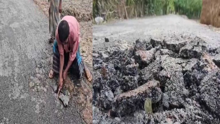 নির্মাণের ১০ দিন পরই হাতের টানে উঠে যাচ্ছে সড়কের পিচ
